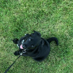 Meet your Posher, Taylor